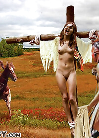 Blanche blanched as she felt a rock hard stiffness poke her in the back pic 2
